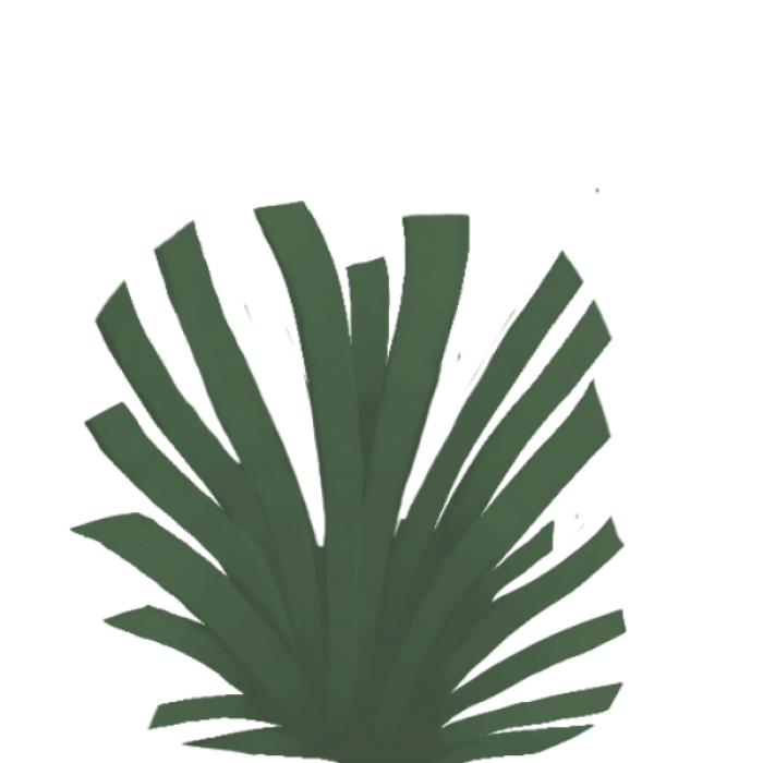 Images/PineSpray-sharedassets2.assets-99 Roblox decal