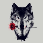 Mighty Wolves
