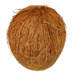 Coconut Fans