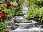 waterfall lovers