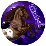 Dreamcatcher Equestrian Academy