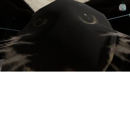 is my goose fine