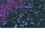 CATbluz ROBUX