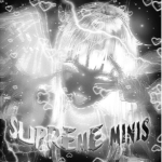Supreme minis