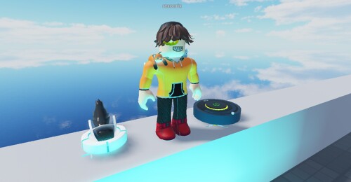 Roomba Island