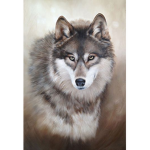 The Moon Wolf group