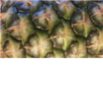 victory of the pineapple