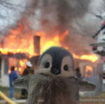 The Pengui Cult
