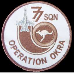 Operation Okra ~ Middle East / Iraq