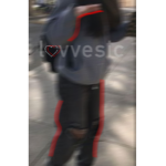 lovvesic