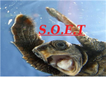 S.O.E.T