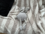 Hi elephants