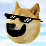 the doges places