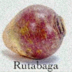 Rutabaga Studios