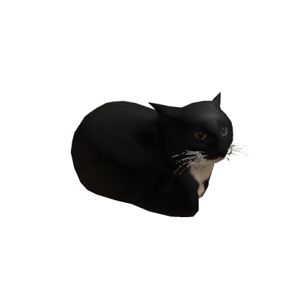 Maxwell the carryable cat but in roblox
