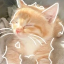 𐙚⋆.˚