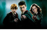 Harry Potter's Group