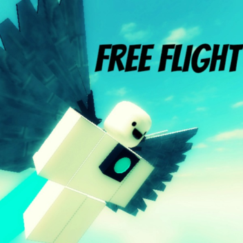 Free Flight Test
