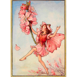 The Flower Fairies