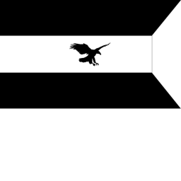 AirEagle Academy