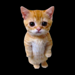 El gato fam!