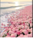 -~shoreline~-