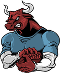 Warrior Bulls