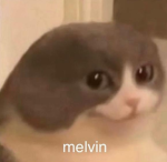 Melvin Corp.