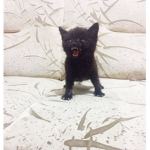 i dont have a name:(
