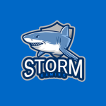 stormgaming's group
