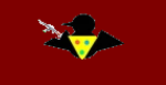 Kiwi Military Junta