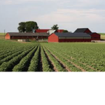 Oven's Farm