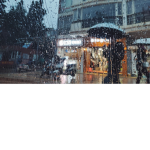 Rain Falls