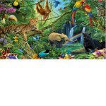 Animals and Dancers rule the world