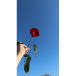 Slender only made by lilknukshorty