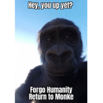 Monke gangsta