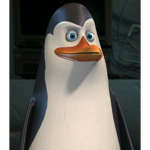 Kowalski Gang