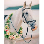 Cute little horses