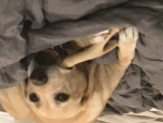 Sweetdreamsaremadeofthese
