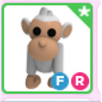 MONKEY ARMYy
