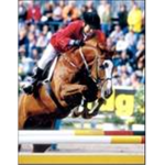 horse lovers equestrian center!