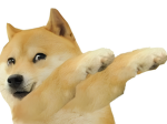the dabbin doges