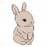 Nicole's Bunny Group