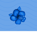 happy happy flower