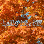 Fall time/Spooky season