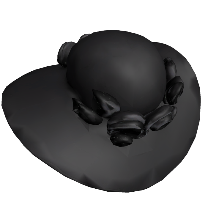 Black Gothic Wide Brim Hat