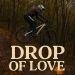 Drop of love icon