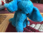 Elephants fan club