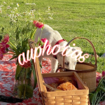 auphorias