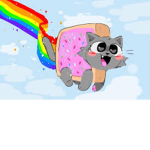 Cool kitty cats